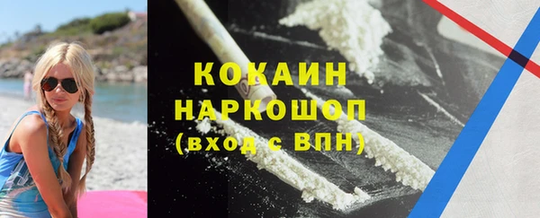 спайс Бородино