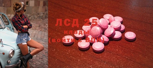Альфа ПВП Верея
