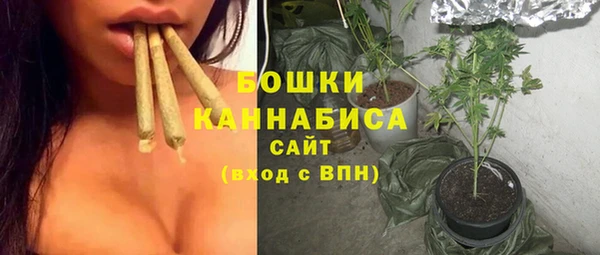 спайс Бородино